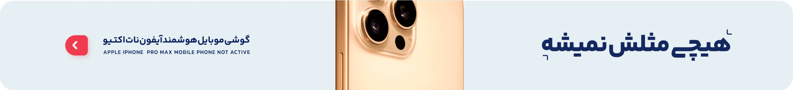 Banner 1